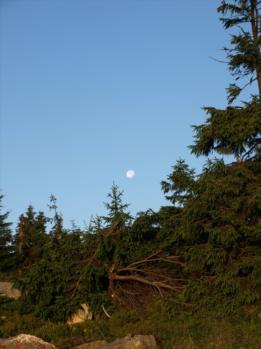 2015-08-02 06.16.11 54 Nachtwanderung zum Brocken