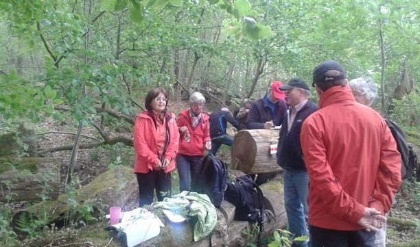 Frühjahrswanderung1