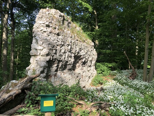 Ruine Lichtensteinburg